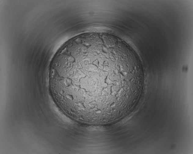 X0000110701083200906261402