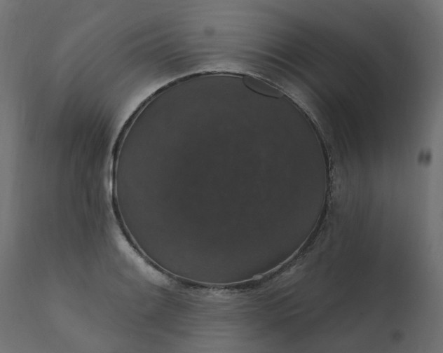 X0000110701084200906261402