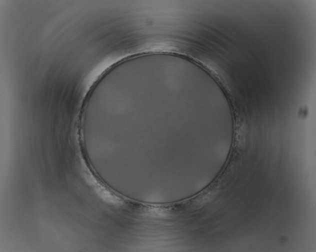 X0000110701086200906261402