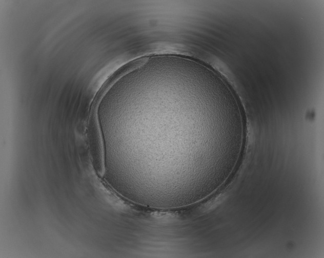 X0000110701089200906261402