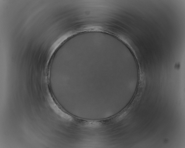 X0000110701090200906261402