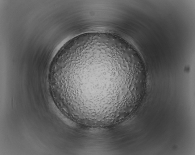 X0000110701091200906261402