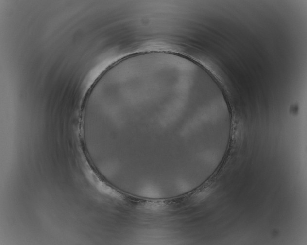 X0000110701094200906261402