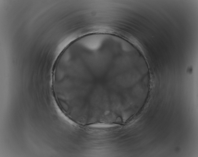 X0000110701095200906261402