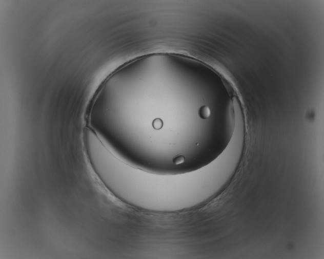 X0000110701096200906261402