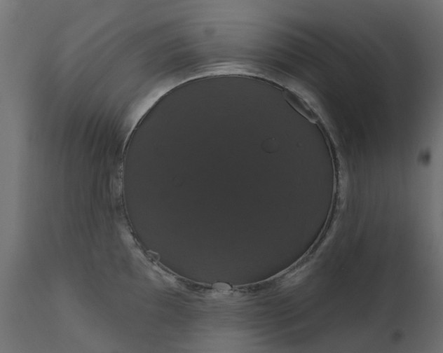 X0000110701097200906261402