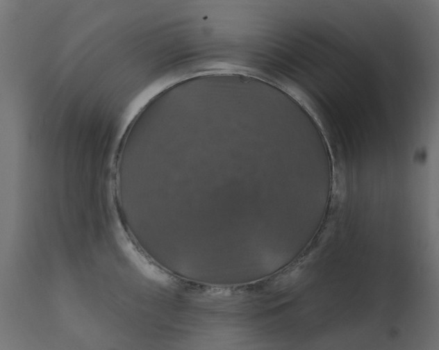 X0000110701098200906261402