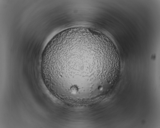 X0000110701099200906261402