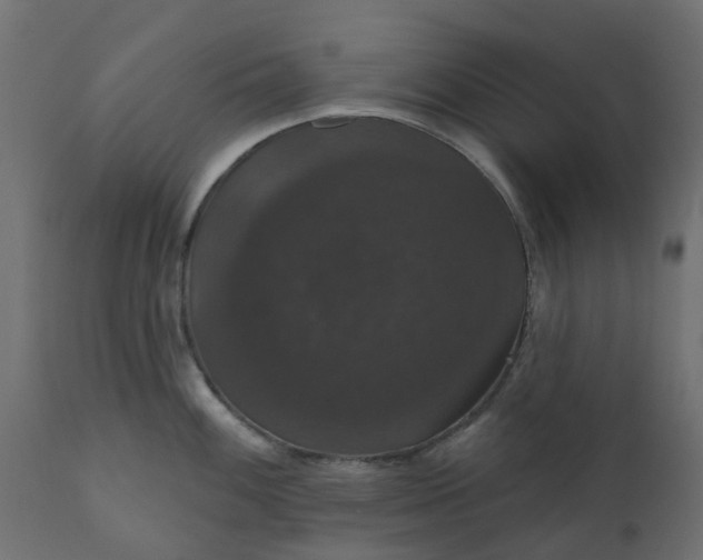 X0000110701100200906261402