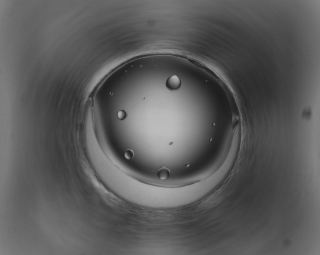 X0000110701101200906261402