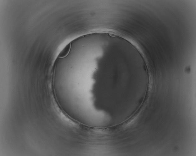 X0000110701102200906261402