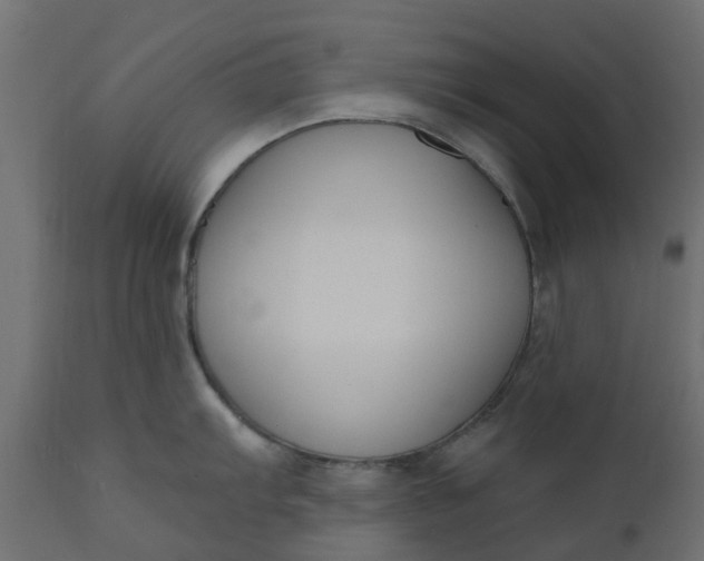 X0000110701103200906261402