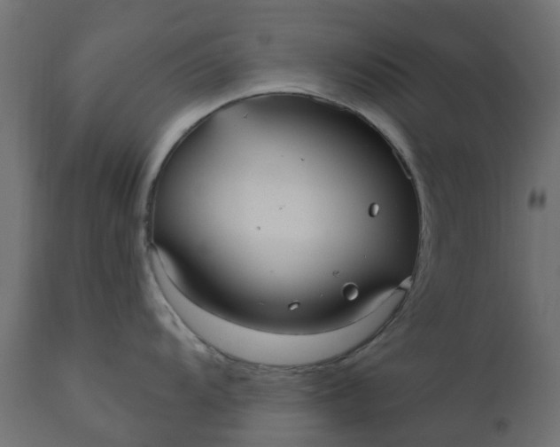 X0000110701104200906261401