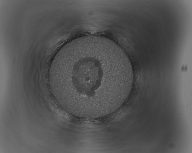 X0000110701105200906261401