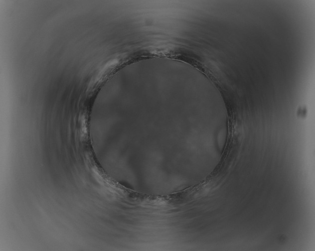 X0000110701106200906261401