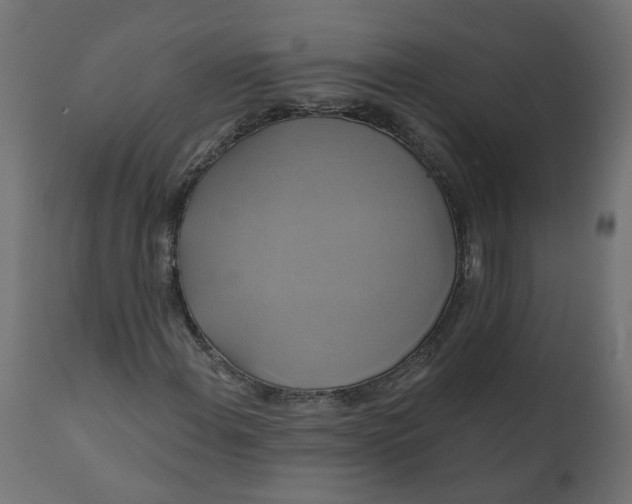 X0000110701108200906261401