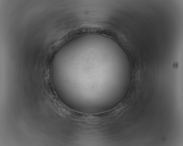 X0000110701109200906261401