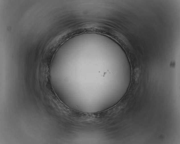 X0000110701111200906261401
