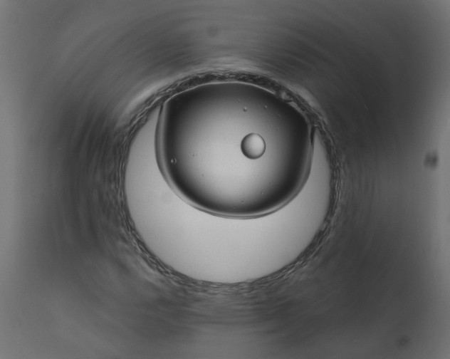 X0000110701112200906261401