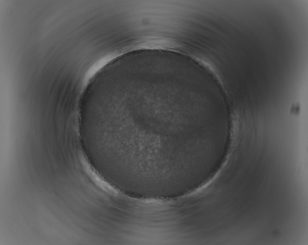 X0000110701114200906261401