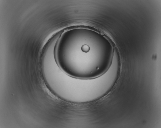 X0000110701116200906261401