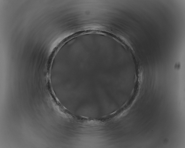 X0000110701117200906261401