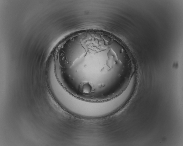 X0000110701118200906261401
