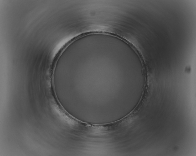 X0000110701120200906261401