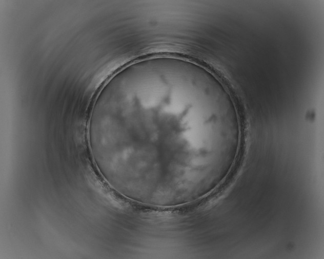 X0000110701121200906261401