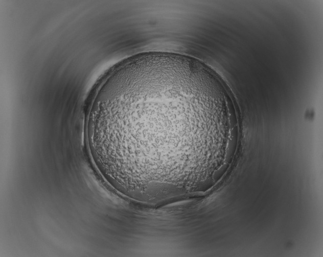X0000110701123200906261401