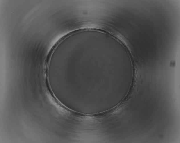 X0000110701124200906261401