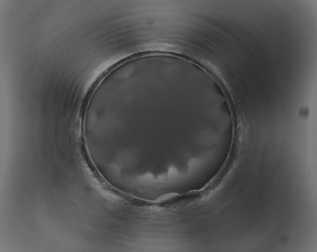 X0000110701125200906261401