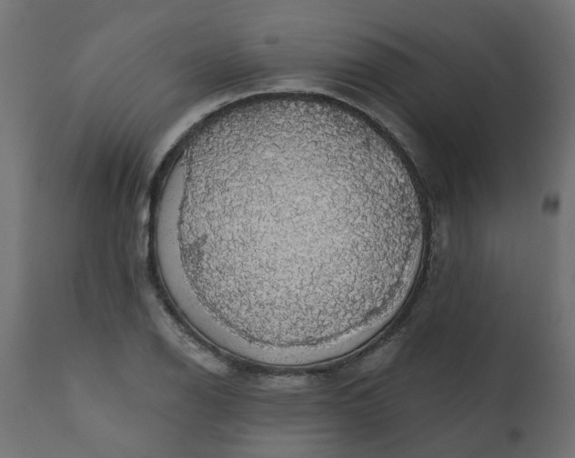 X0000110701126200906261401