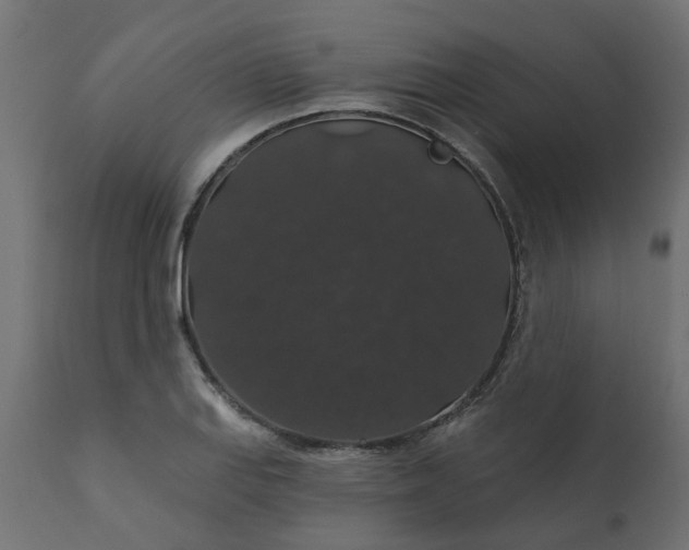 X0000110701127200906261401