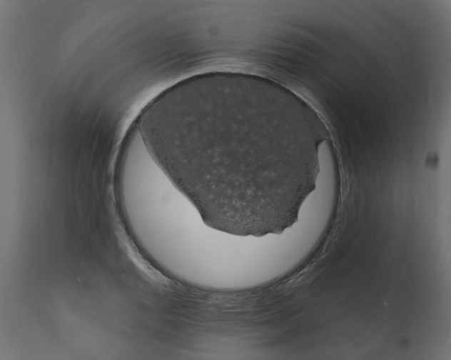 X0000110701128200906261401