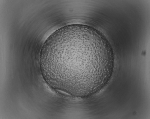 X0000110701129200906261401