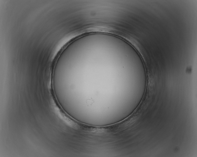 X0000110701131200906261401