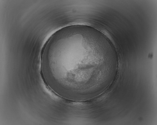 X0000110701132200906261401