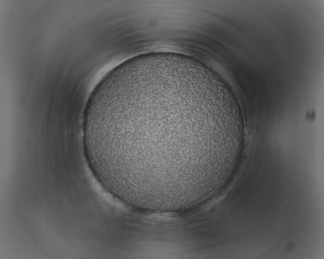 X0000110701133200906261401