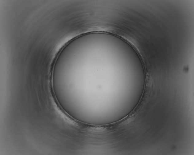 X0000110701135200906261401