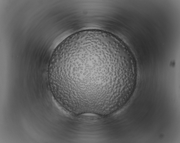 X0000110701137200906261401