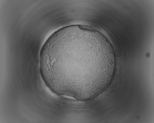 X0000110701140200906261401