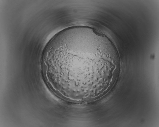 X0000110701141200906261401