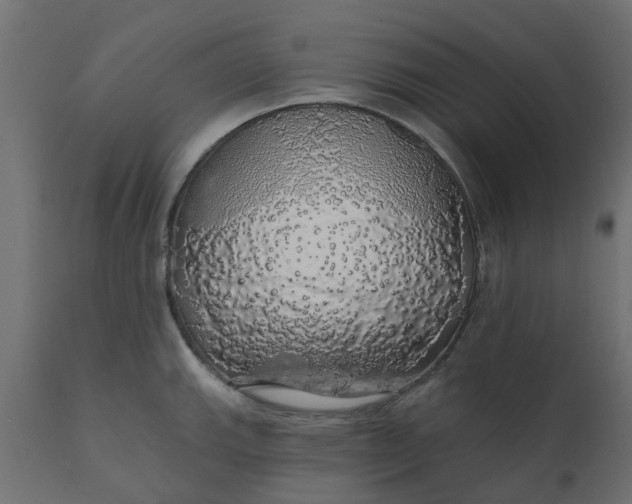 X0000110701143200906261401