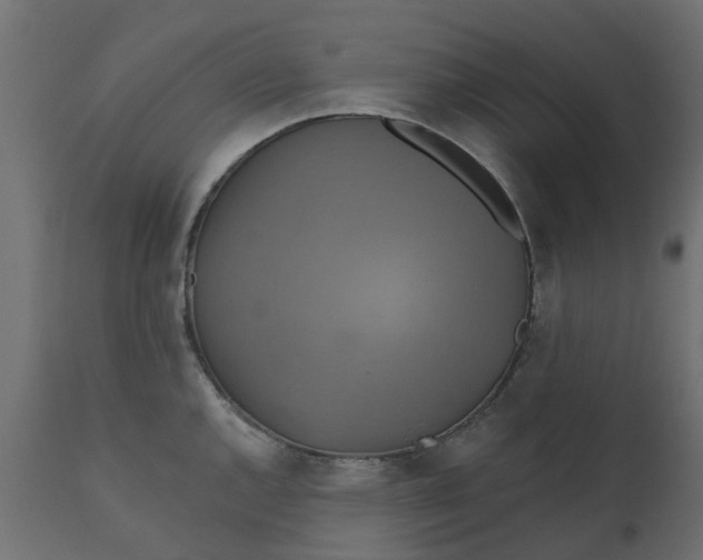 X0000110701144200906261401
