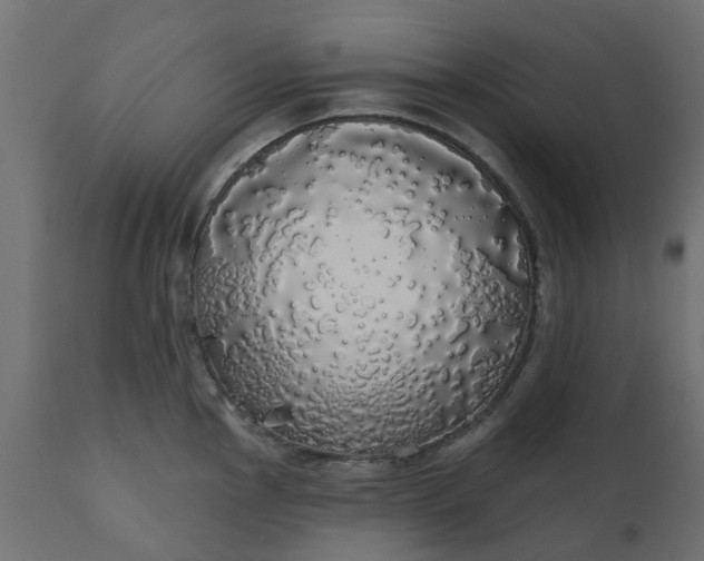 X0000110701145200906261401