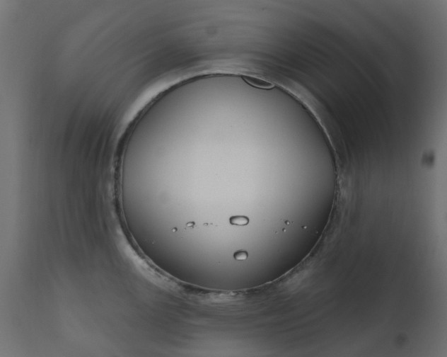 X0000110701147200906261401