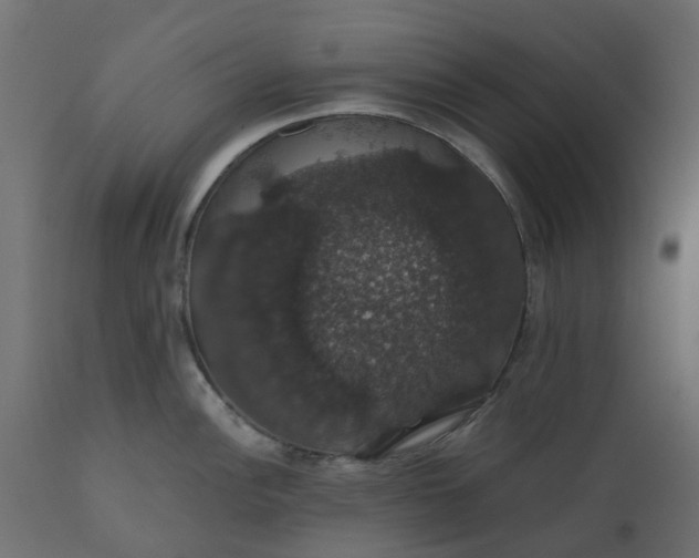 X0000110701148200906261401