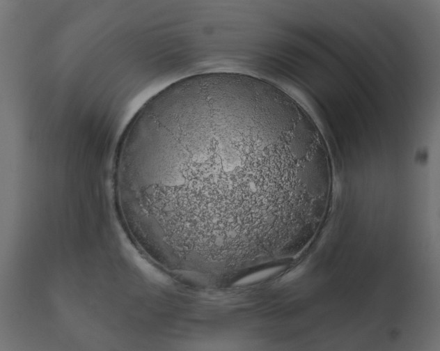 X0000110701149200906261401