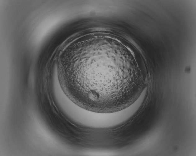 X0000110701151200906261401
